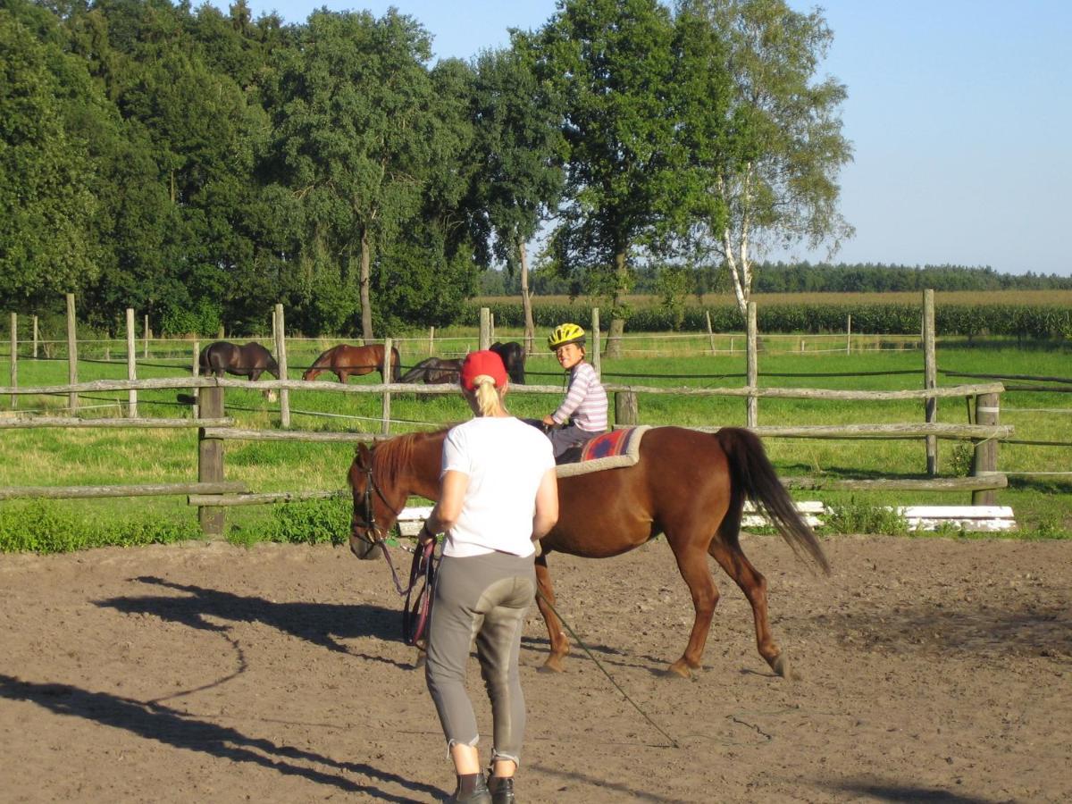 Ferienhof Drewes Ranch Wietzendorf Exterior foto