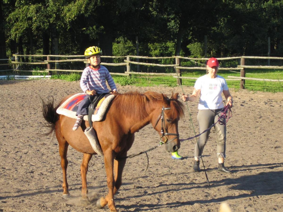 Ferienhof Drewes Ranch Wietzendorf Exterior foto